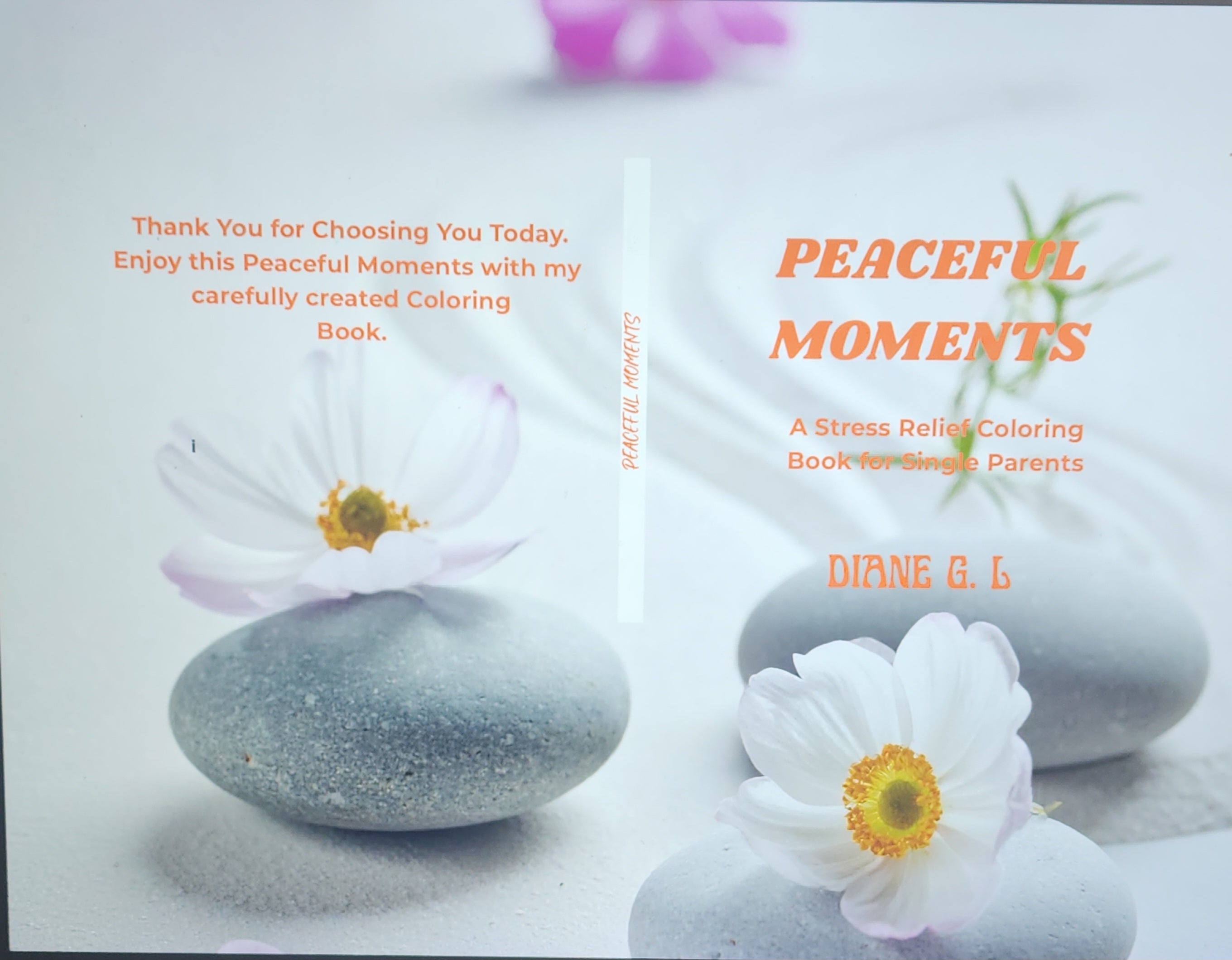Peaceful Moments - A Stress Relief Coloring Book for Single Parents